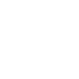 Award Winning SEO Experts